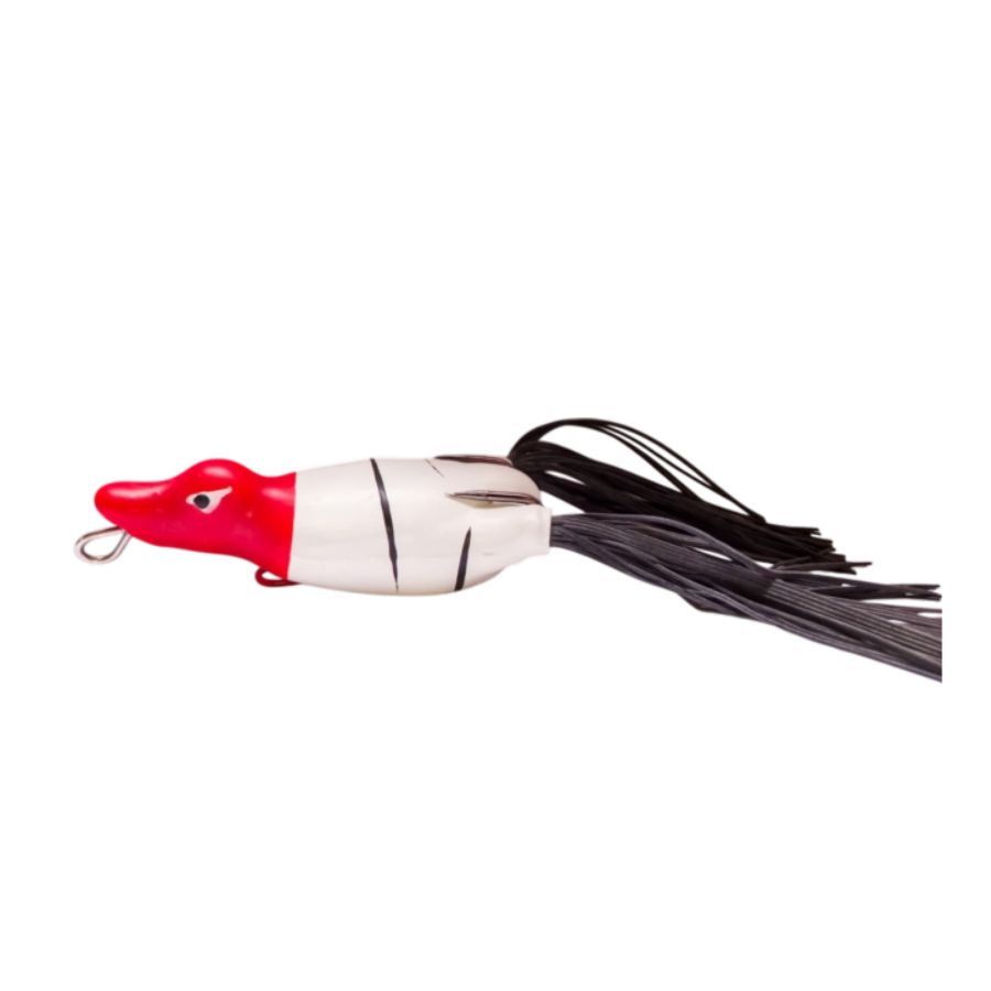 Branco e Vermelho 381